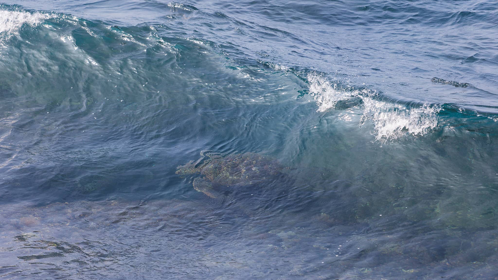 06a - Ile de Liuqiu (14).jpg